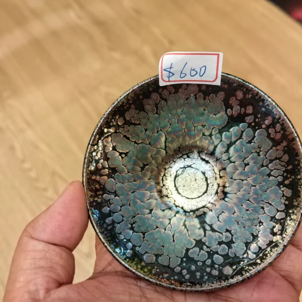 094620135173_20681112269159941335